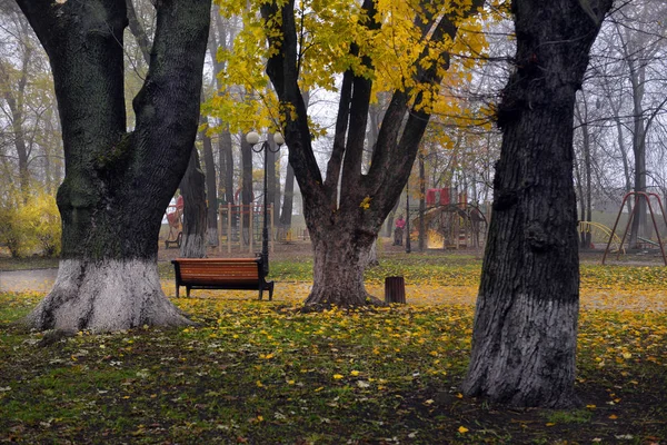 秋の公園で黄ばんだ葉と色鮮やかな紅葉. — ストック写真