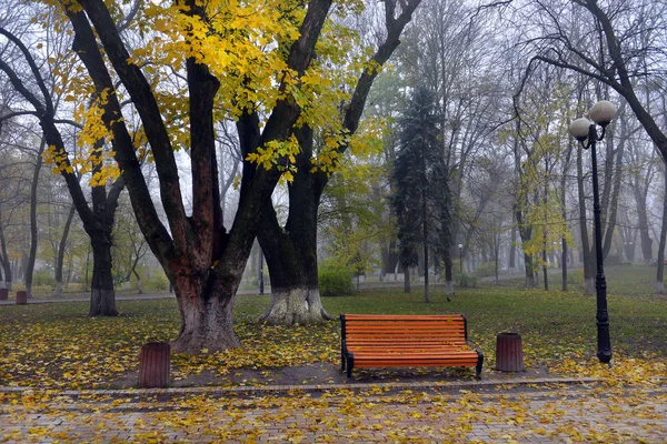 秋の公園で黄ばんだ葉と色鮮やかな紅葉 — ストック写真