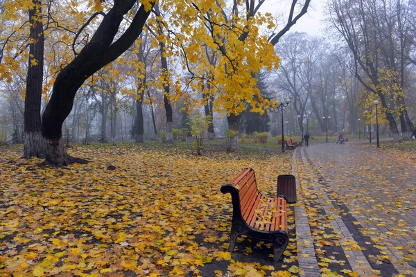 Цветные осенние деревья с желтыми листьями в осеннем парке — стоковое фото