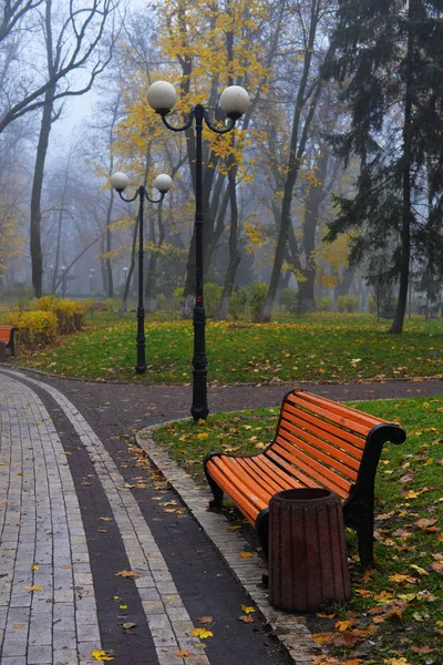 Colorful autumn trees with yellowed foliage in the autumn park. — Stock Photo, Image