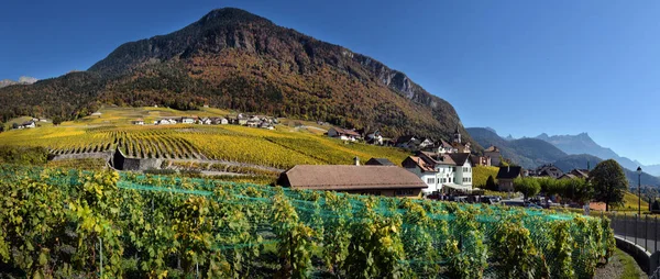 Panorama des vignobles d'automne en Suisse — Photo