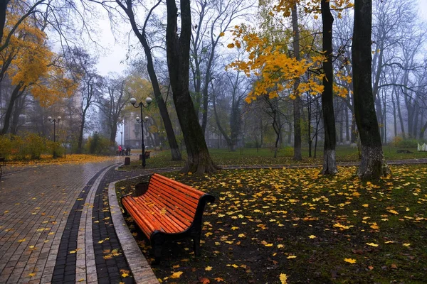 Colorful autumn trees with yellowed foliage in the autumn park. — Stock Photo, Image