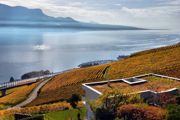 Herbstliche Weinberge in der Schweiz — Stockfoto