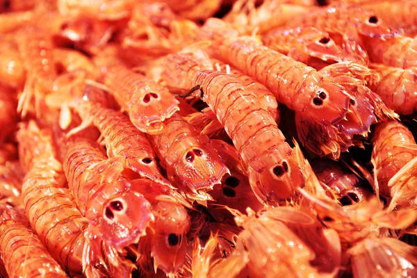 The raw shrimps on ice in fish shop for sale — Stock Photo, Image