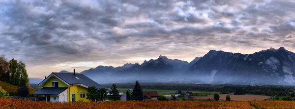 Panorama of autumn vineyards in Switzerland — Stock Photo, Image