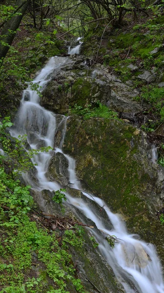 Krajina s horské řeky s rychlý proud a fores — Stock fotografie