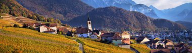 İsviçre sonbahar üzüm bağları Panoraması 