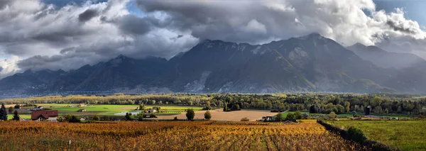 Panoráma őszi szőlőültetvények, Svájc — Stock Fotó