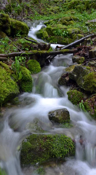 Paisagem com um rio de montanha com um fluxo rápido e os inimigos — Fotografia de Stock