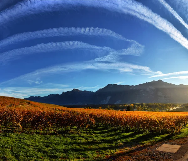 Panoráma őszi szőlőültetvények, Svájc — Stock Fotó