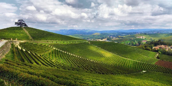 Utsikt över höstens vingårdar på kullarna i Langhe regionen i Pied — Stockfoto