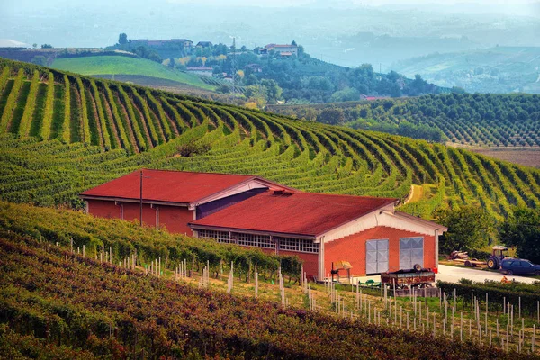 Utsikt över höstens vingårdar på kullarna i Langhe regionen i Pied — Stockfoto