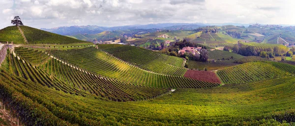 Blick auf die herbstlichen Weinberge auf den Hügeln der Langhe-Region in pied — Stockfoto