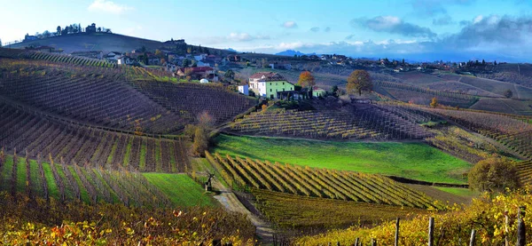 Utsikt över höstens vingårdar på kullarna i Langhe regionen i Pied — Stockfoto