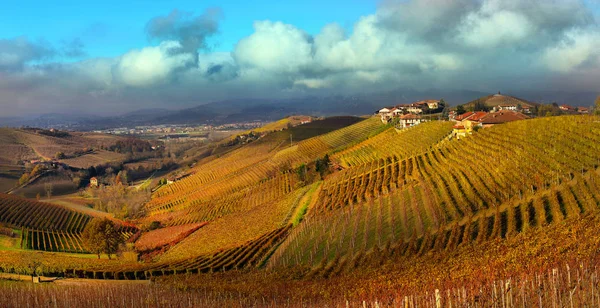Blick auf die herbstlichen Weinberge auf den Hügeln der Langhe-Region in pied — Stockfoto