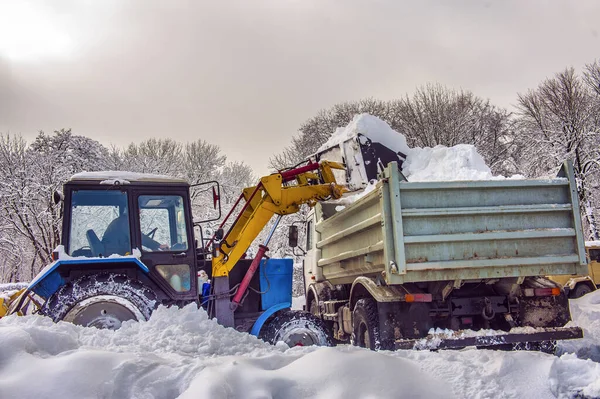 Snow cleaning tractor snow-removal machine loading pile of snow — Stock fotografie