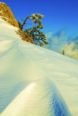 Ai-Petri Dağları 'ndaki ağaçlar ve kar. Kırım