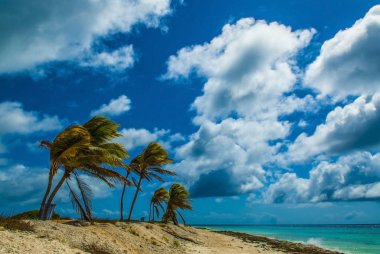 Ada Cenneti - Beyaz kumlu bir plajın üzerinde asılı palmiye ağaçları çarpıcı turkuaz suları ve mavi siiiiiiik 'e karşı beyaz bulutlar