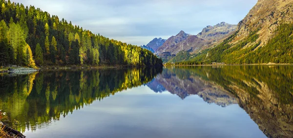 Mountain lake panorama with mountains reflection. Idyllic look. Autumn forest. Silvaplana Lake, Switzerland