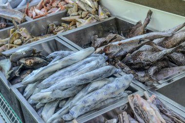 Donmuş balık ve deniz ürünleri filetoları bir markette soğutulmuş vitrinde.