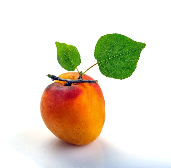 Izolovaná Meruňka Čerstvě Nakrájené Meruňky Ovoce Izolované Bílém Pozadí — Stock fotografie