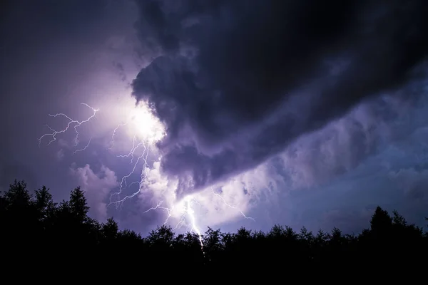 lightning from behind the clouds over the forest