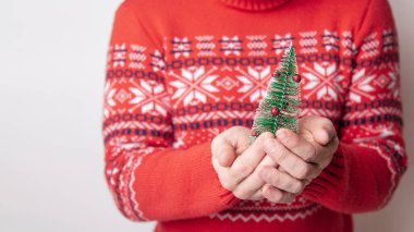 Pankart kırmızı örgü kazaklı bir adamın elinde küçük yapay bir Noel ağacı tutuyor. Noel konsepti