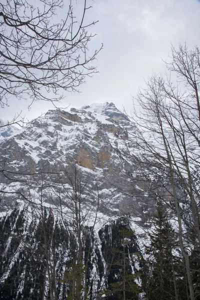 Murren Město Zimě Švýcarsko Evropa — Stock fotografie