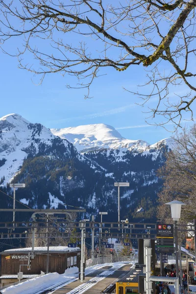 Wengen Ciudad Esquí Invierno Suiza Europa — Foto de Stock