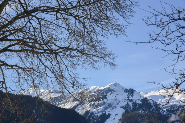 Wengen Ciudad Esquí Invierno Suiza Europa — Foto de Stock