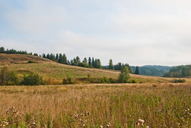 Güney Karelya sonbahar ormanda