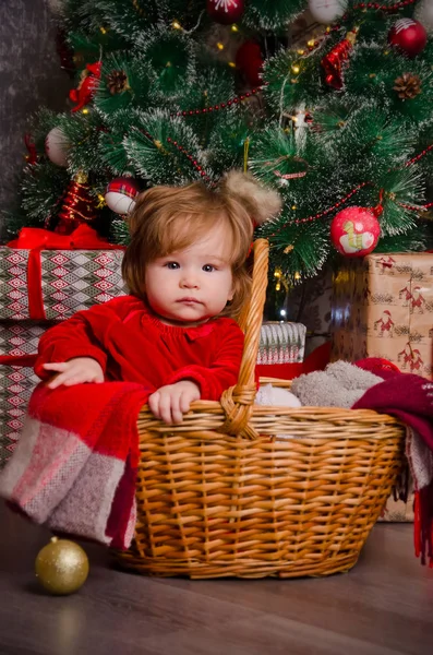 Una bambina in un cesto sotto un albero di Natale — Foto Stock