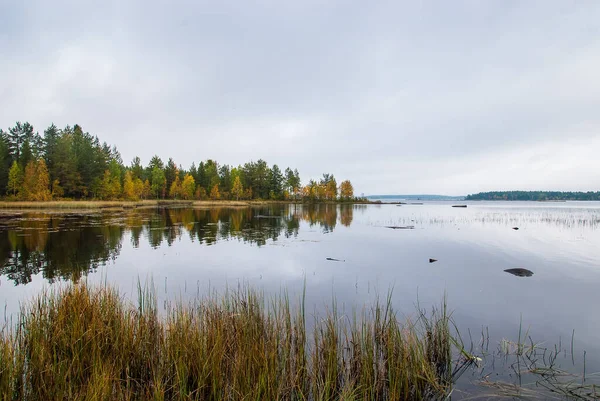 Ladoga Gölü Ndeki Sonbahar Suları Göl Kıyısında Sonbahar Renk Ormanı — Stok fotoğraf