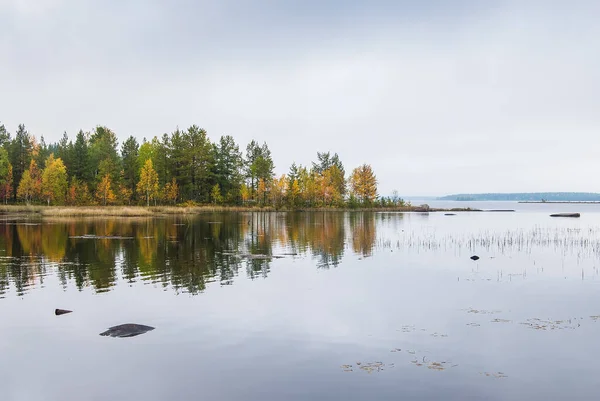 ラドーガ湖の秋の水景 湖岸の紅葉林 — ストック写真