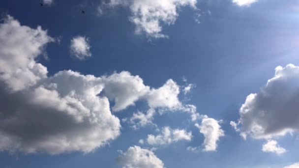 Nubes. Cielo azul . — Vídeos de Stock