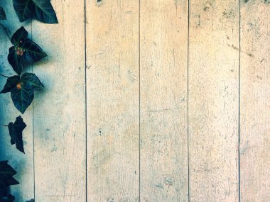 Eski Wood.White ahşap Texture.Wooden arka plan.