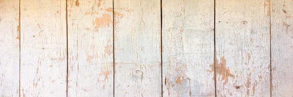 Old Wood. White Wooden Texture. Light Wooden Background.