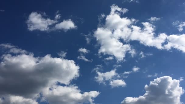 Nubes blancas desaparecen en el sol caliente en el cielo azul. Tiempo-lapso movimiento nubes azul cielo fondo . — Vídeos de Stock