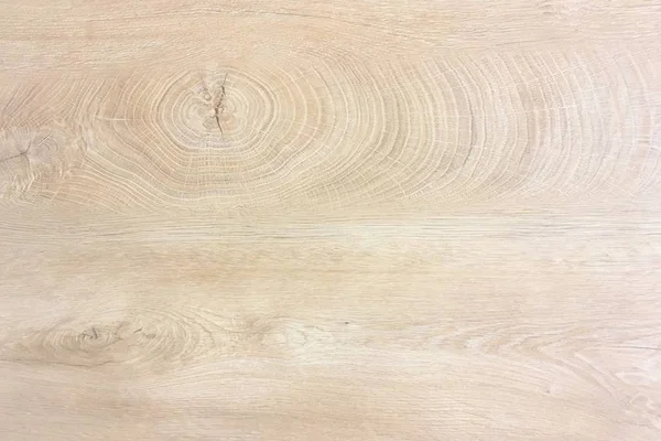 White Organic Wood Texture. Light Wooden Background. Old Washed Wood — Stock Photo, Image
