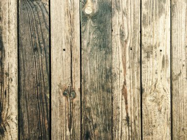 Beyaz organik ahşap doku. Hafif Ahşap Arkaplan. Yaşlı Yıkanmış Orman