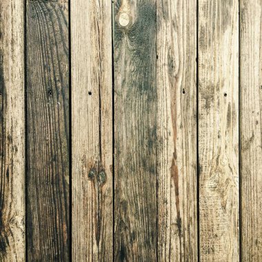 Beyaz organik ahşap doku. Hafif Ahşap Arkaplan. Yaşlı Yıkanmış Orman