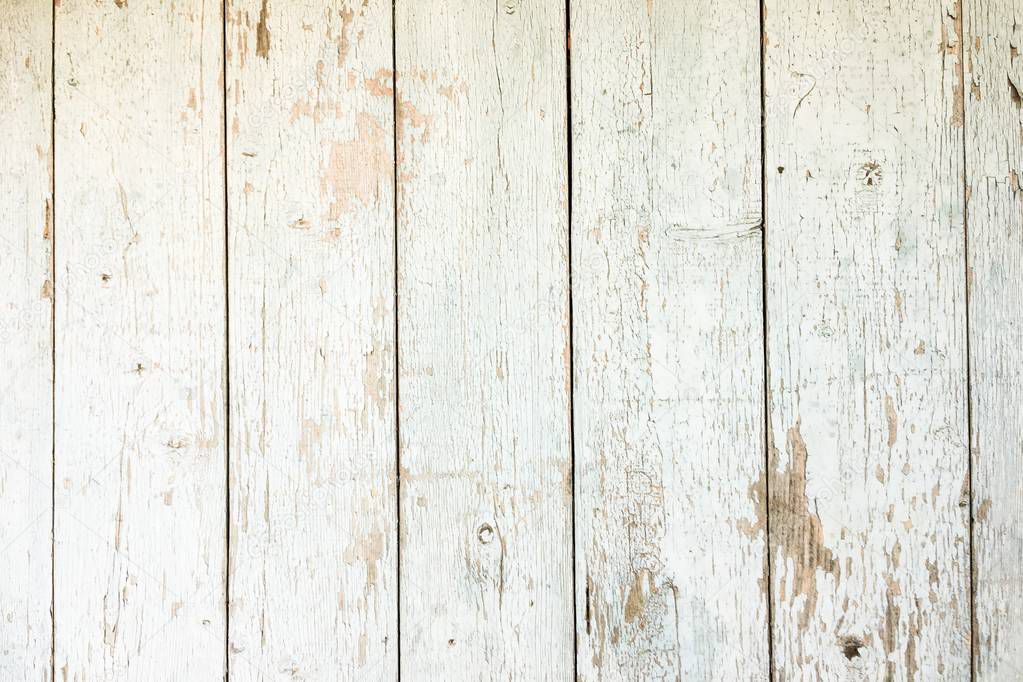 White Organic Wood Texture. Light Wooden Background. Old Washed Wood