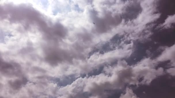 Witte wolken verdwijnen in de hete zon op blauwe hemel. Time-lapse beweging wolken blauwe hemelachtergrond. Blauwe hemel. Wolken. Blauwe hemel met witte wolken — Stockvideo