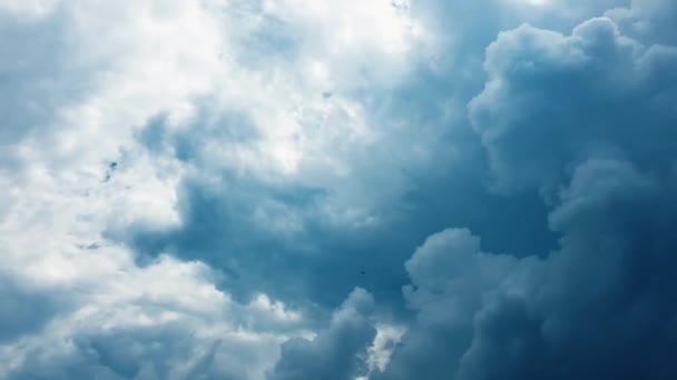 Nubes blancas desaparecen en el sol caliente en el cielo azul. Time-lapse movimiento nubes azul cielo fondo. Cielo azul. Nubes. Cielo azul con nubes blancas — Vídeo de stock