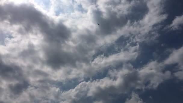 Nubes blancas desaparecen en el sol caliente en el cielo azul. Time-lapse movimiento nubes azul cielo fondo. Cielo azul. Nubes. Cielo azul con nubes blancas — Vídeos de Stock