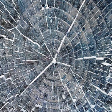 Organik ahşap arka plan. Soyut ahşap doku. Siyah ahşap doku arka plan