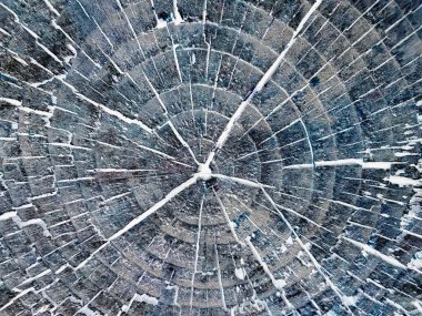 Organik ahşap arka plan. Soyut ahşap doku. Siyah ahşap doku arka plan