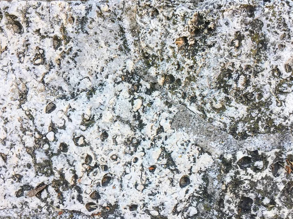 Colorful natural stone background texture.Stone texture background.Close up of a stone texture background.Details of sand stone texture.The detail texture of stone