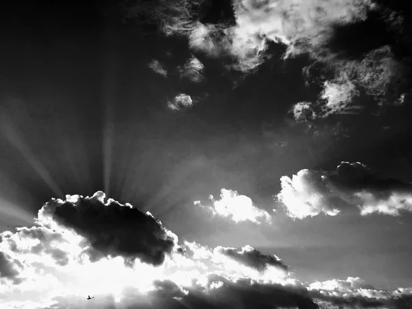 Σύννεφα. Μαύρο φόντο. Απομονωμένη σύννεφα λευκό στο μαύρο ουρανό. Σύνολο απομονωμένη σύννεφα πάνω από το μαύρο φόντο. Σχεδιαστικά στοιχεία. Λευκό απομονωμένη σύννεφα. Σύννεφα Cutout εξάγεται — Φωτογραφία Αρχείου