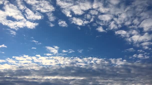 Білі хмари зникають на гарячому сонці на блакитному небі. Хмари переплетення часу - синій фон неба. Блакитне небо. Хмари. Блакитне небо з білими хмарами . — стокове відео